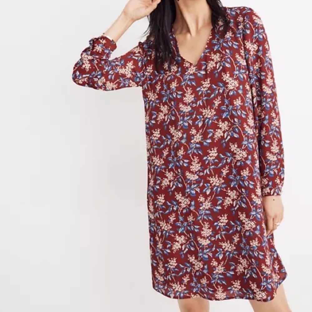 Madewell Antique Flora dress